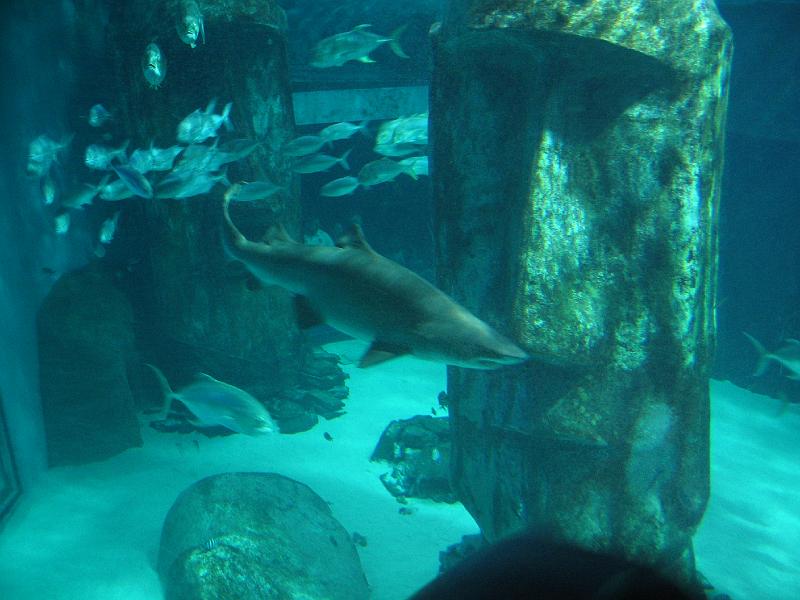 IMG_1214.JPG