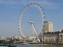 IMG_0880