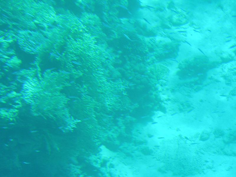 DSCN0681.JPG