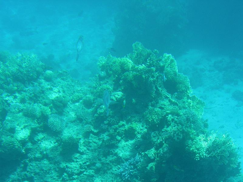 DSCN0686.JPG