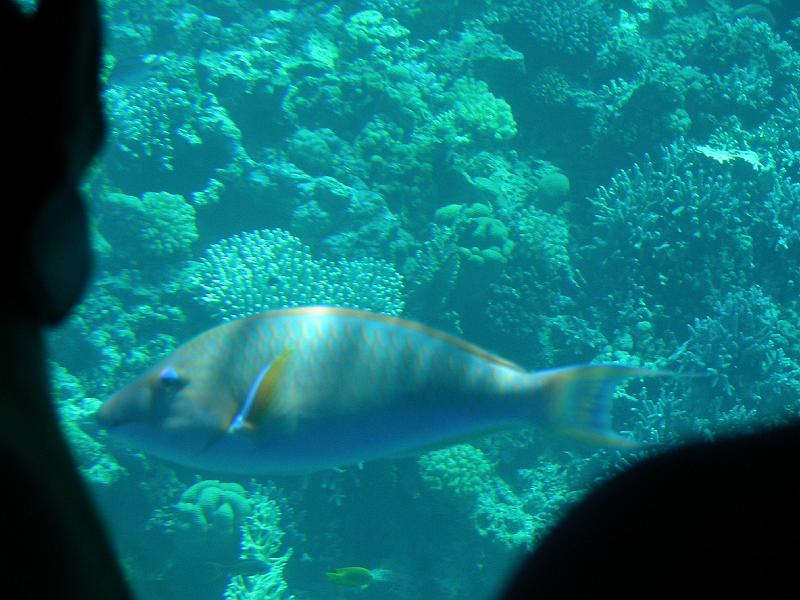 DSCN0701.JPG
