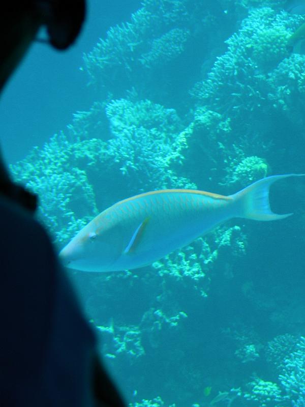 DSCN0702.JPG