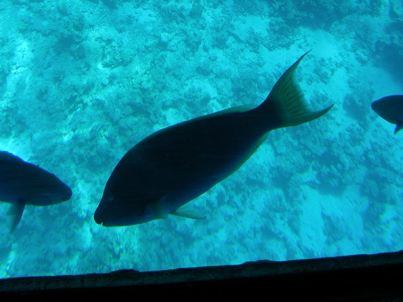 DSCN0710.JPG
