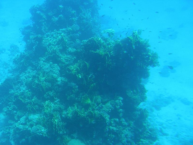 DSCN0713.JPG