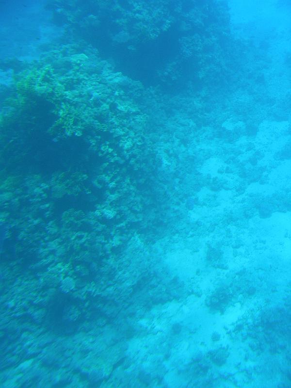 DSCN0714.JPG