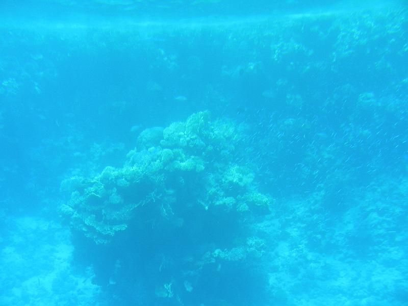 DSCN0729.JPG