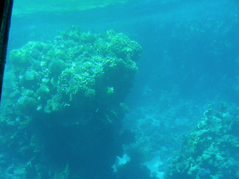 DSCN0730.JPG