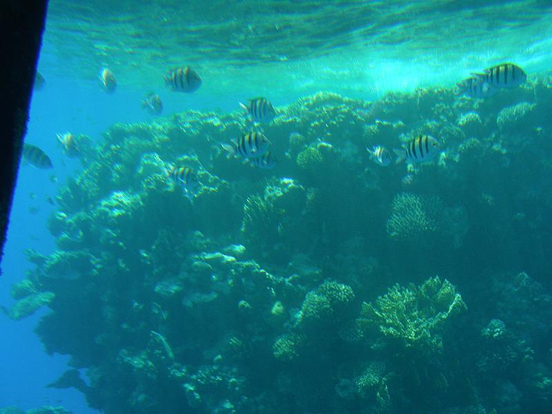 DSCN0733.JPG