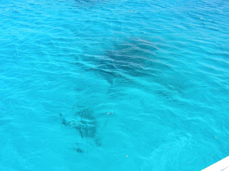 DSCN0765.JPG