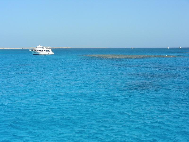 DSCN0766.JPG