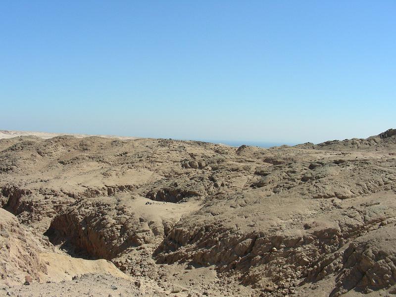 DSCN0810.JPG