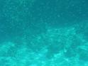DSCN0666