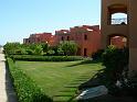 DSCN0831