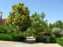 DSCN0886