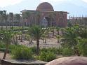 DSCN0894